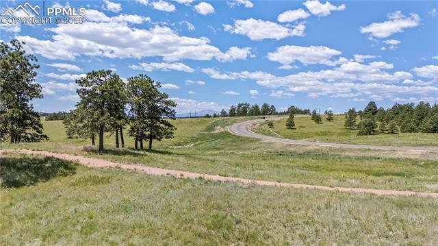 Photo 7 of 10334 Alamar Way, Colorado Springs