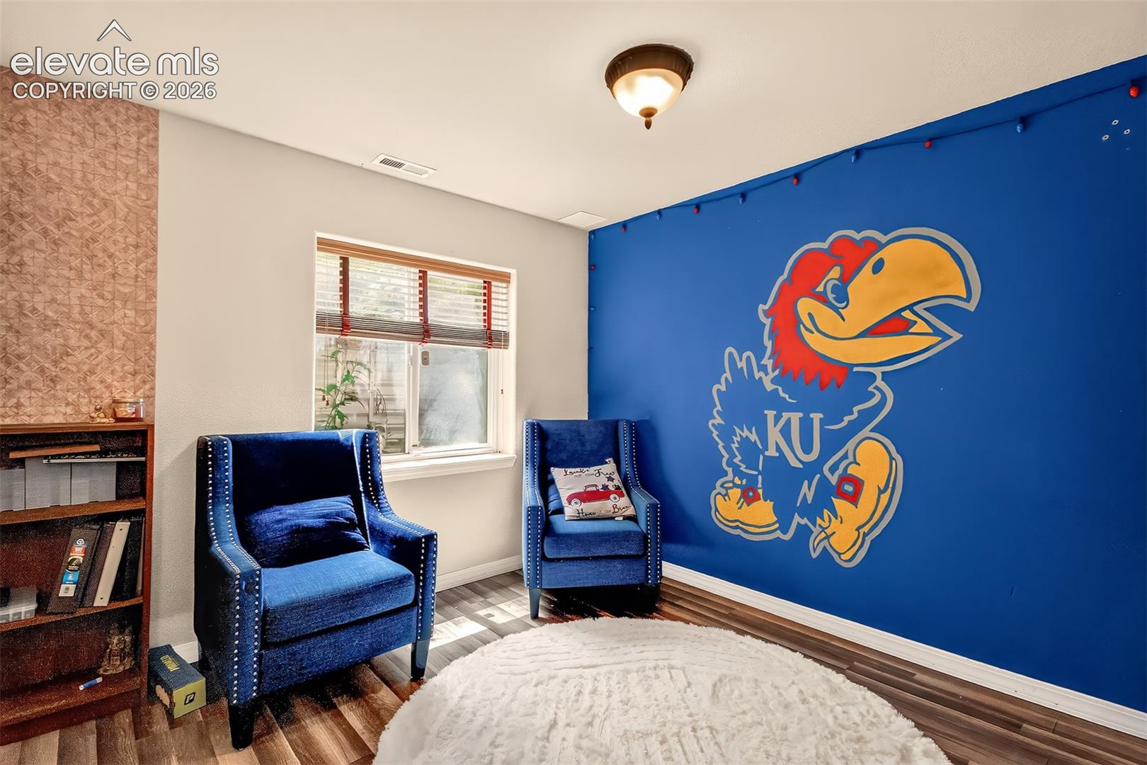 Basement family room