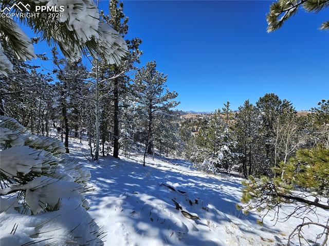 Photo 6 of 829 Princess Road, Cripple Creek