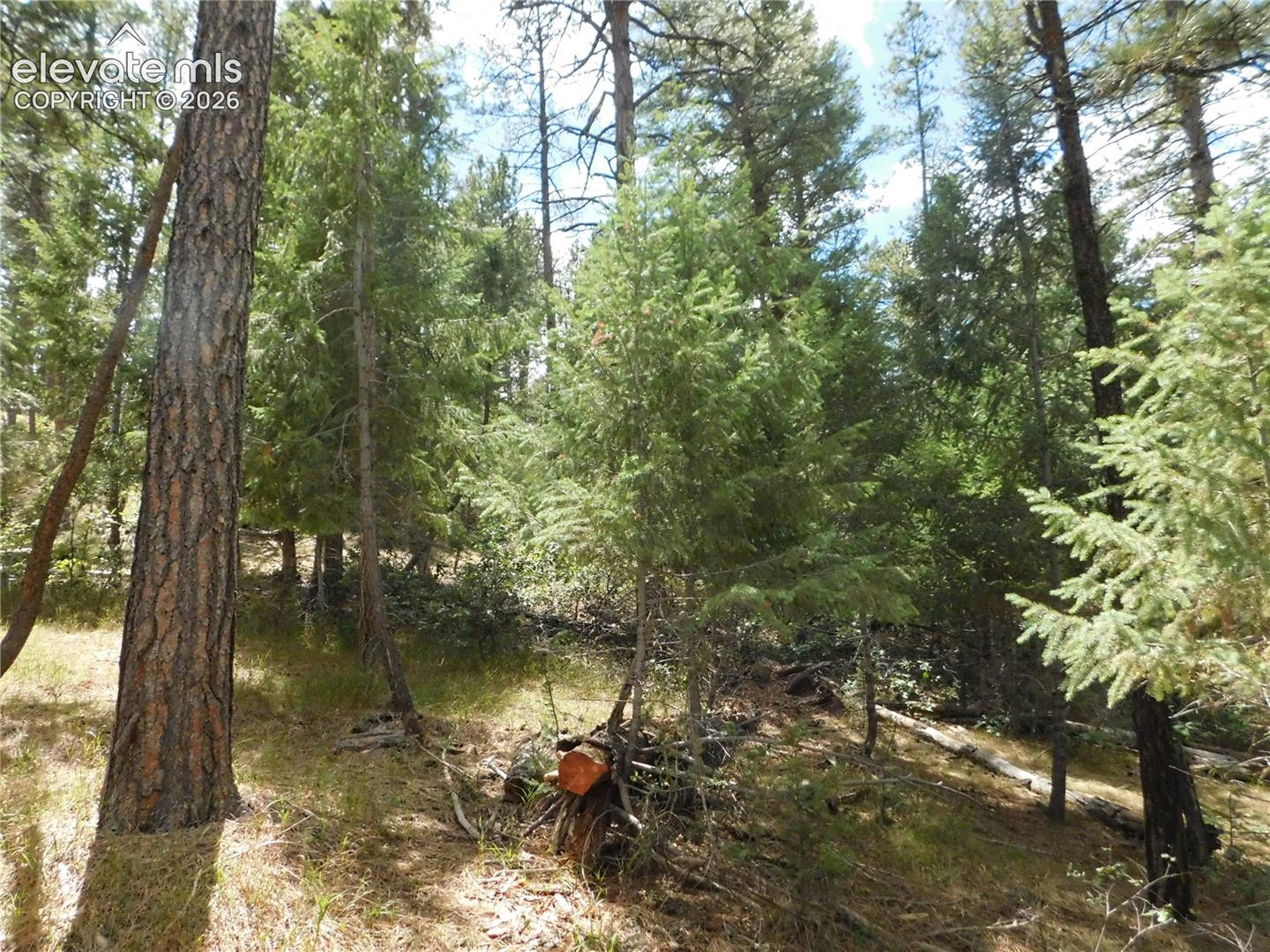 Photo 13 of 8139 Bannock Drive, Larkspur