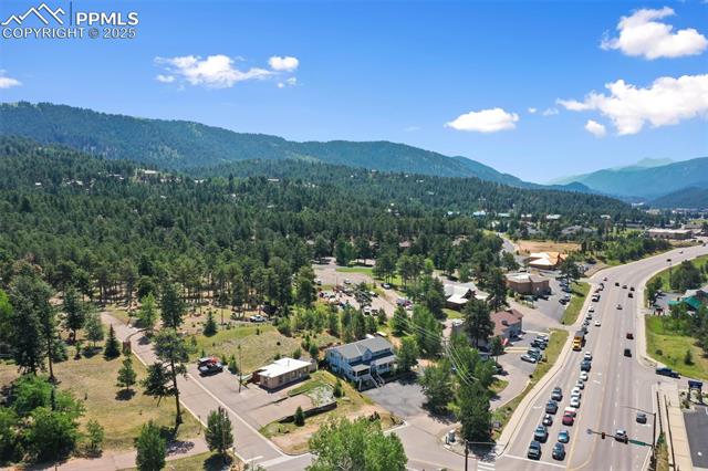 607 Baldwin St, Woodland Park, CO 80863