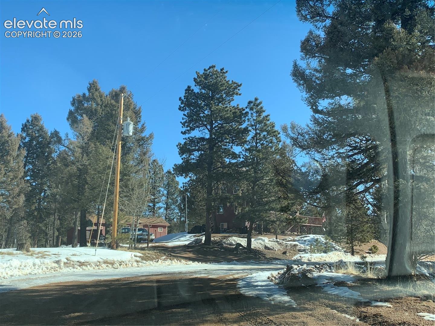 Wooded lot featuring mature pine trees and natural terrain