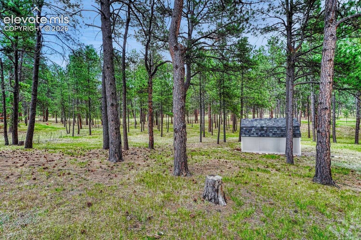 Photo 17 of 14225 Ponderosa Road, Colorado Springs