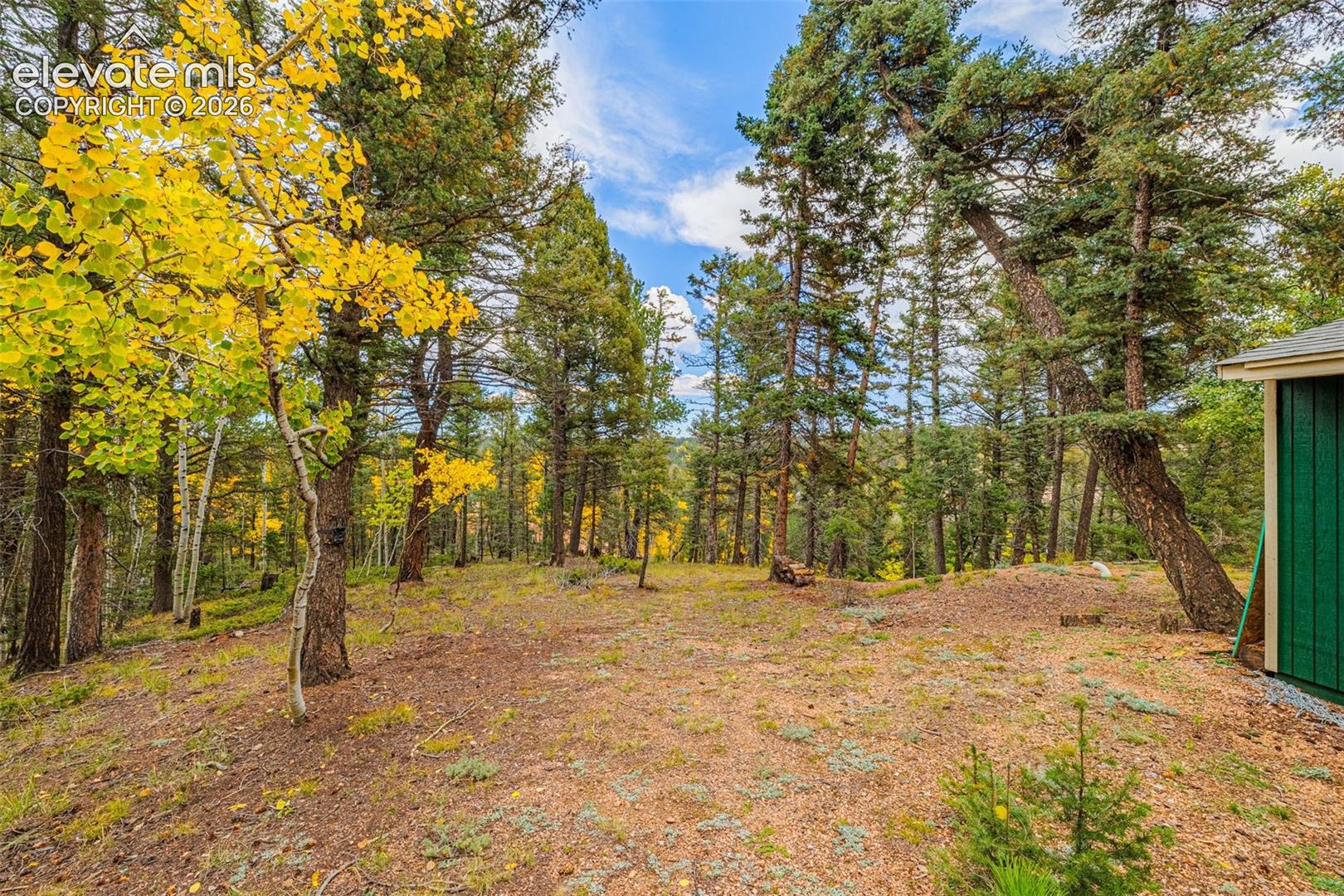 Wooded lot featuring mature evergreen trees, indigenous foliage, and natural terrain