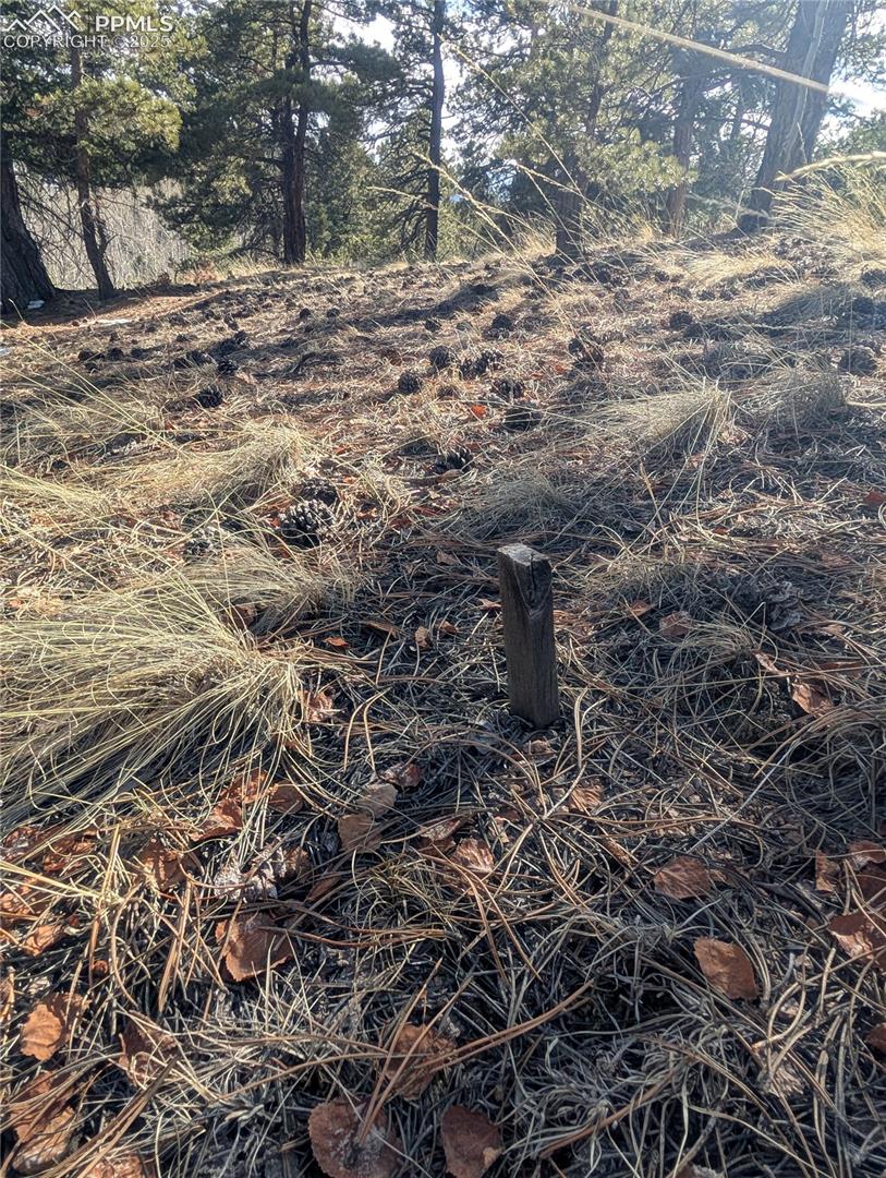 Previous site stakes for residence