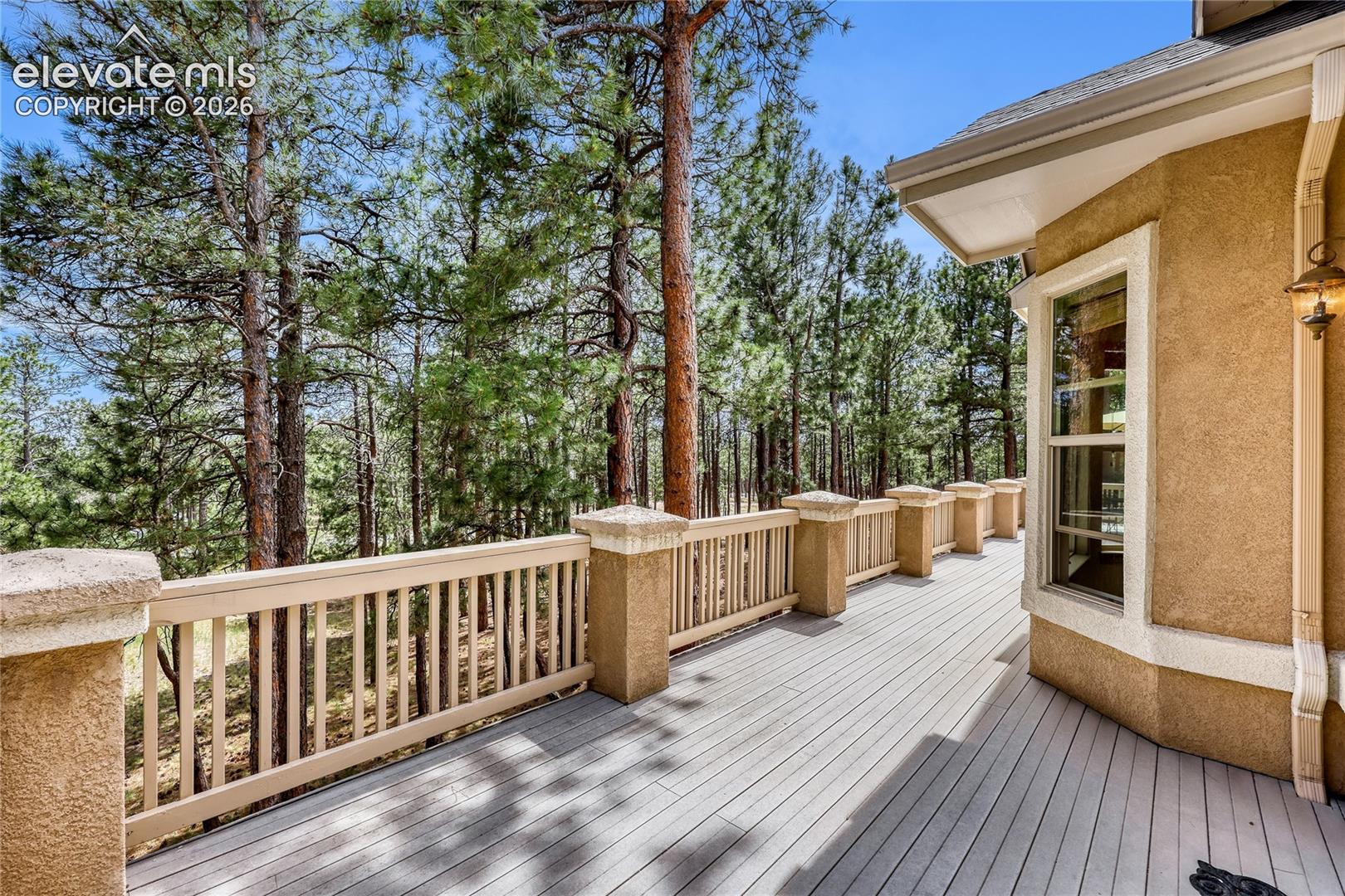 Photo 14 of 15931 Waving Branch Way, Colorado Springs