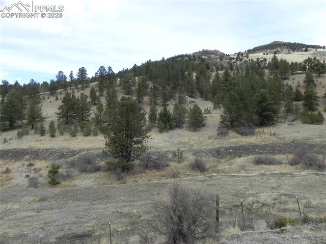 Photo 11 of 521 Monarch Drive, Cripple Creek