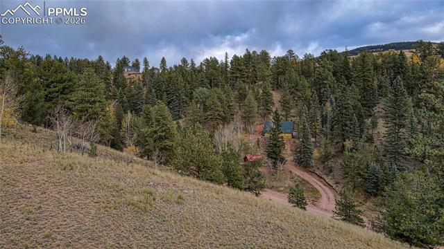 Photo 10 of 65 Portland Drive, Cripple Creek
