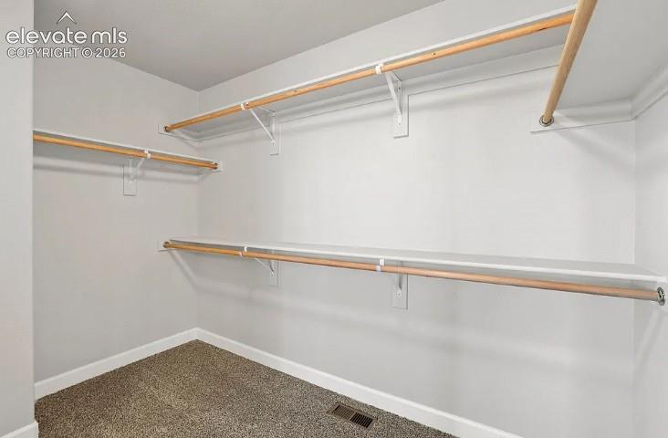 Walk-in closet featuring wall-to-wall carpeting, tiered shelving, and built-in wooden garment rods