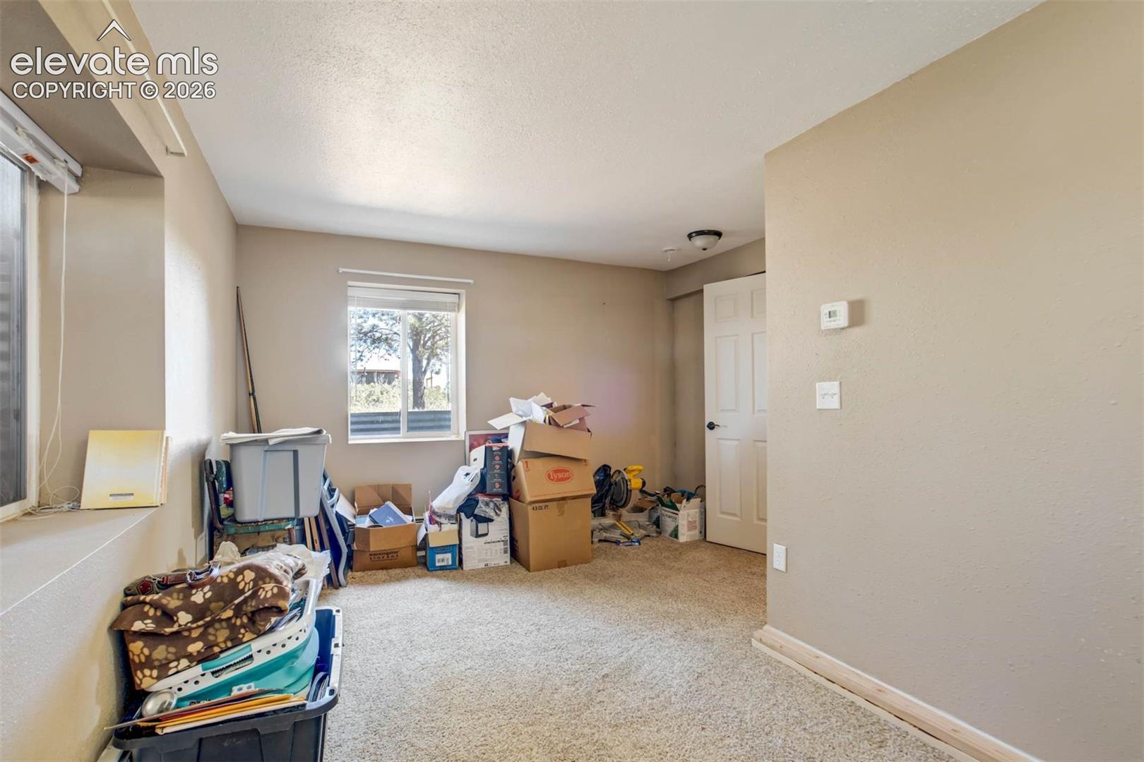 Lower Level Bedroom