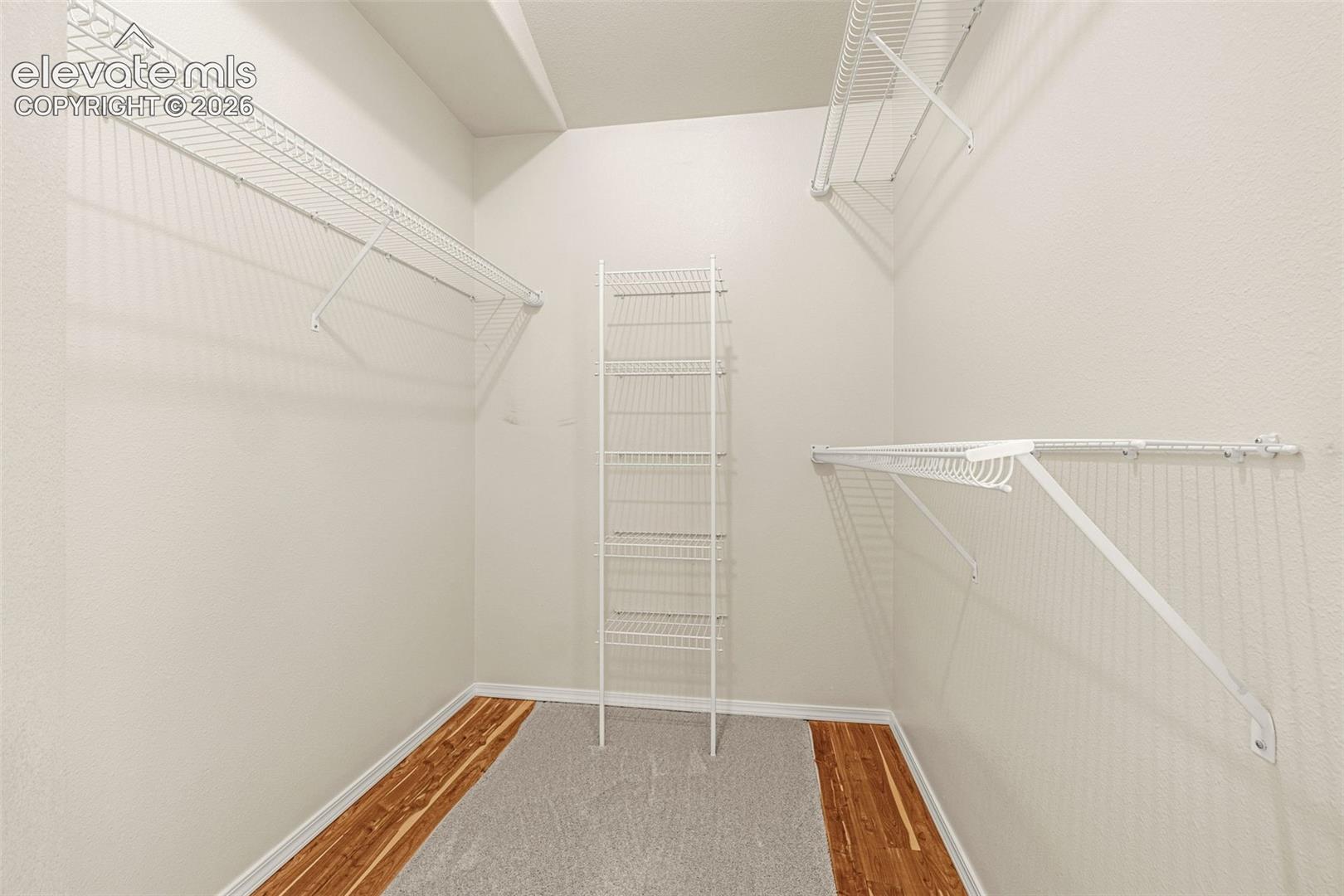 Large Primary walk in closet with cedar