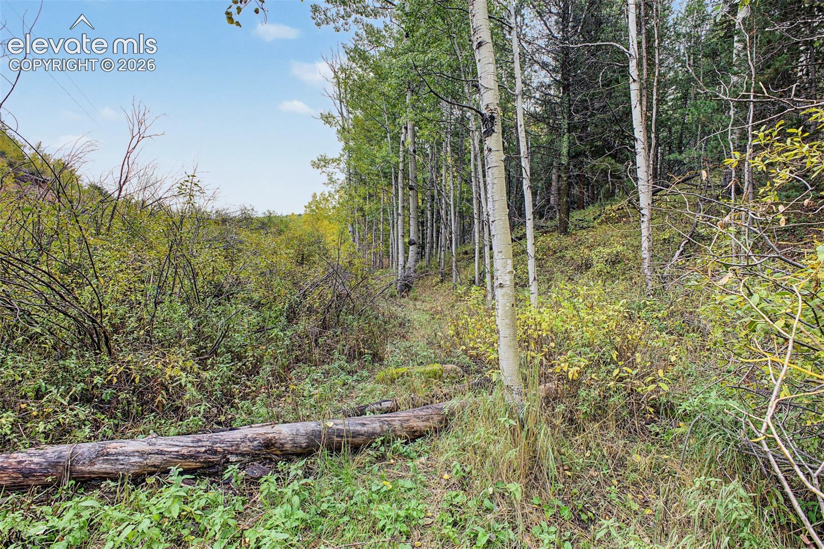 Photo 31 of 1034 Little Topsey Drive, Cripple Creek