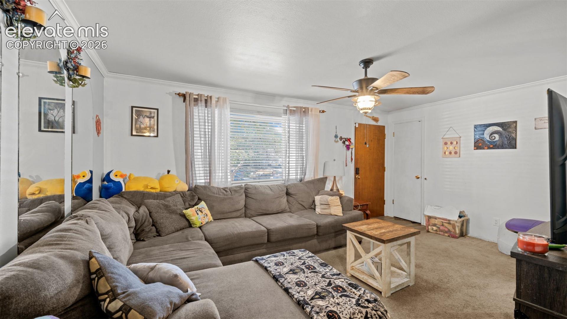 Photo 9 of 3630 Brentwood Terrace, Colorado Springs