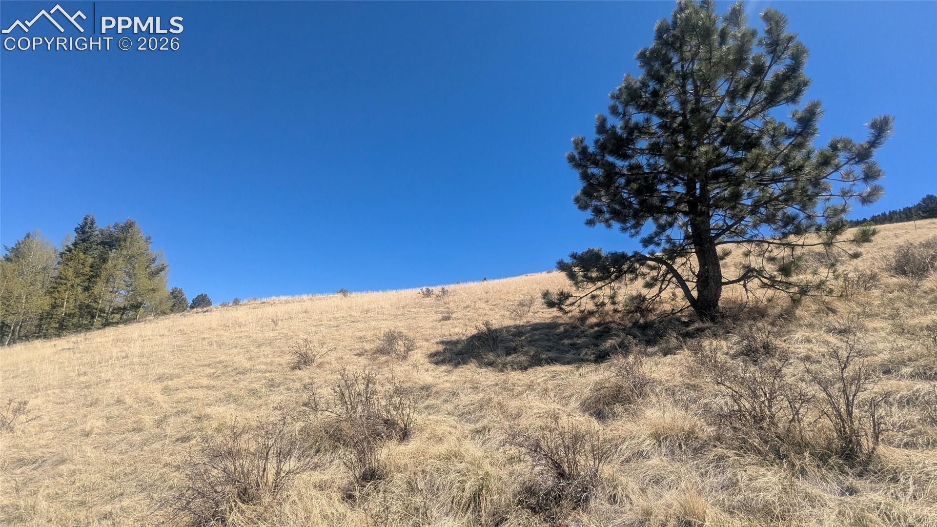 1960 Troy Dr, Cripple Creek, CO 80813