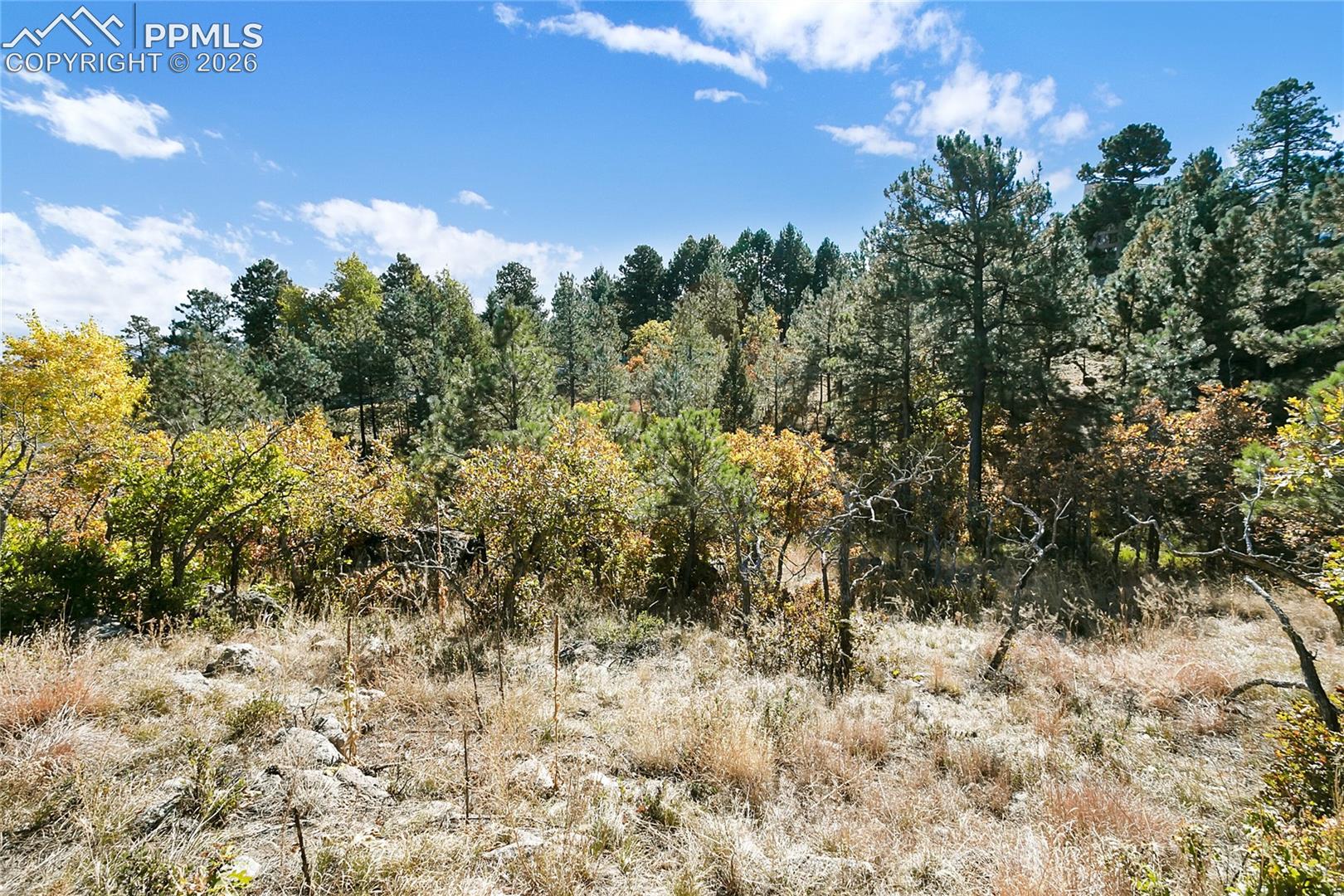 Photo 18 of 4688 Stone Manor Heights, Colorado Springs