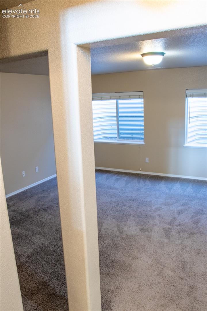 Carpeted interior space featuring two windows with blinds, a ceiling-mounted light fixture, and neutral wall paint