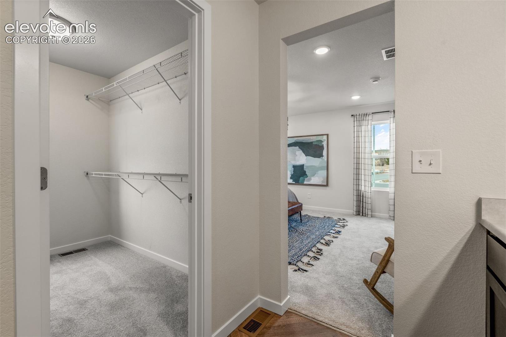 Walk-in closet featuring wire shelving and carpet flooring
