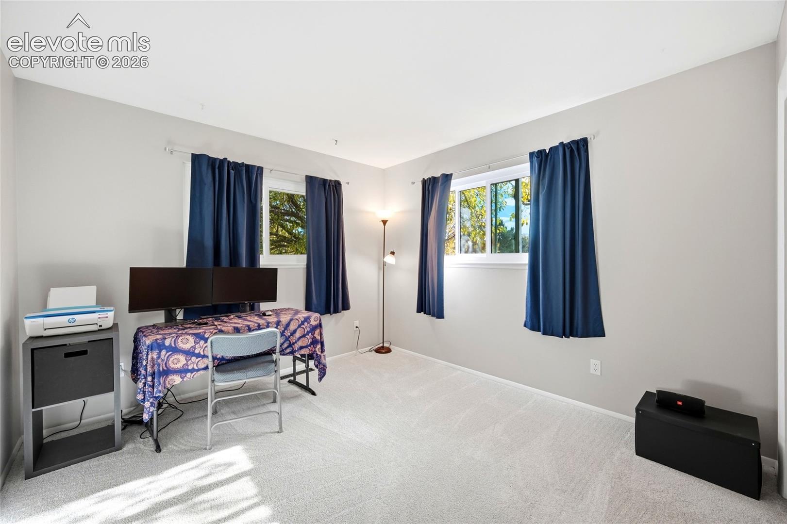 Neutral-toned walls paired with plush carpeting and dual windows providing natural light
