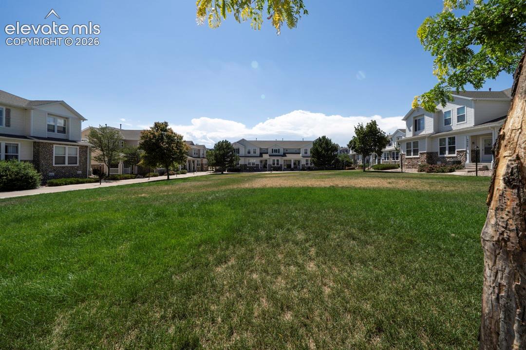 Photo 6 of 6042 Ensemble Heights, Colorado Springs