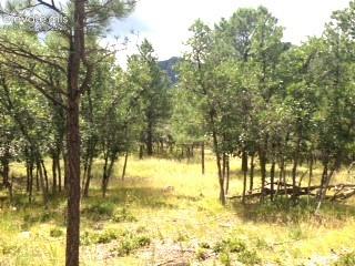 Photo 7 of 667 Silver Oak Grove, Colorado Springs