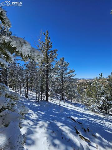 Photo 8 of 829 Princess Road, Cripple Creek