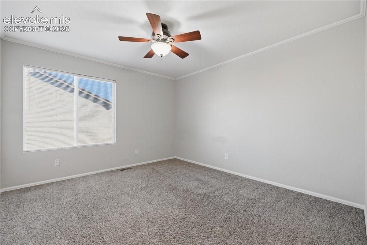 Secondary bedroom 