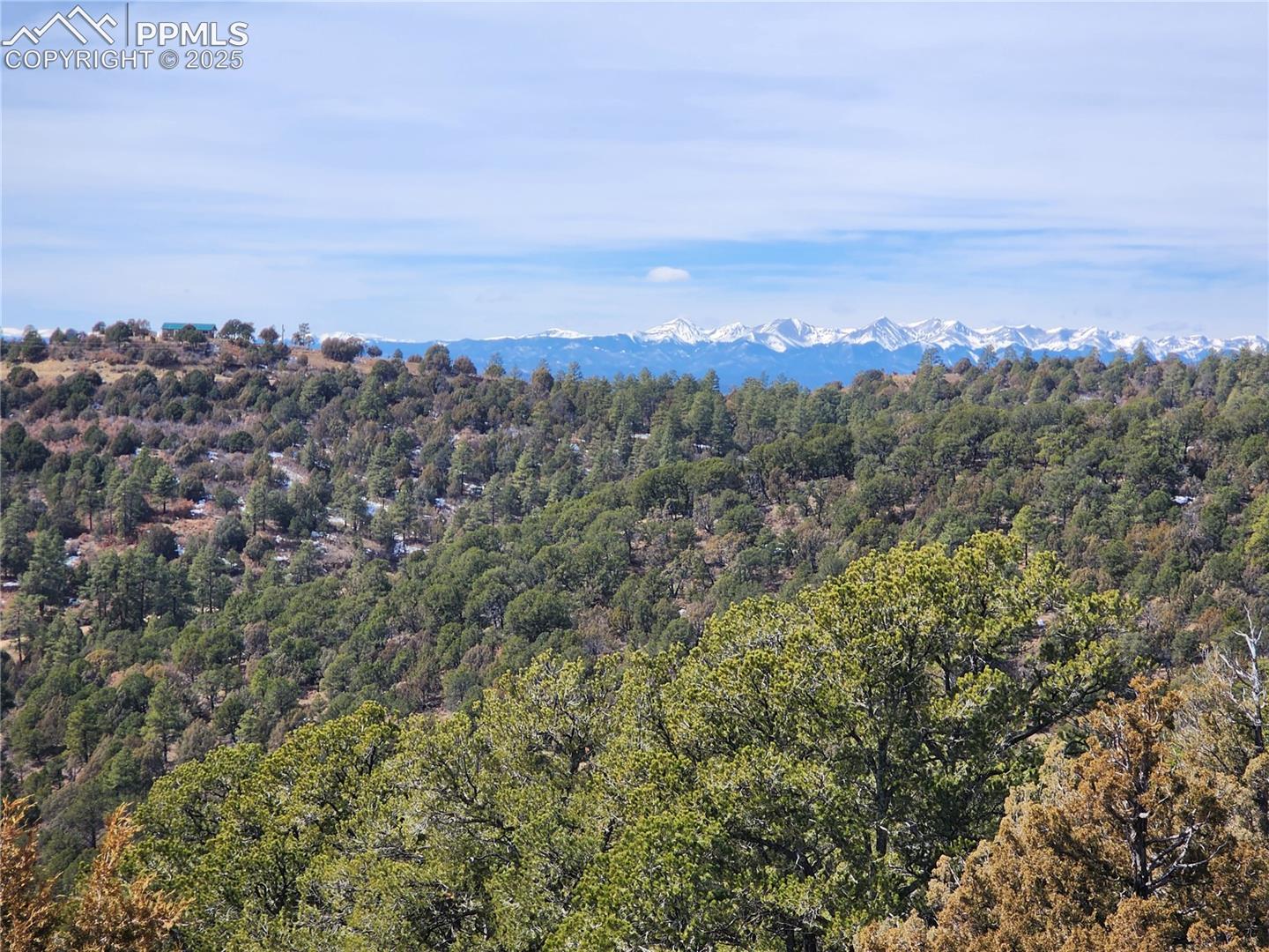 Mountain view featuring a heavily wooded area