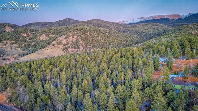 Photo 16 of 959 Calcite Drive, Divide