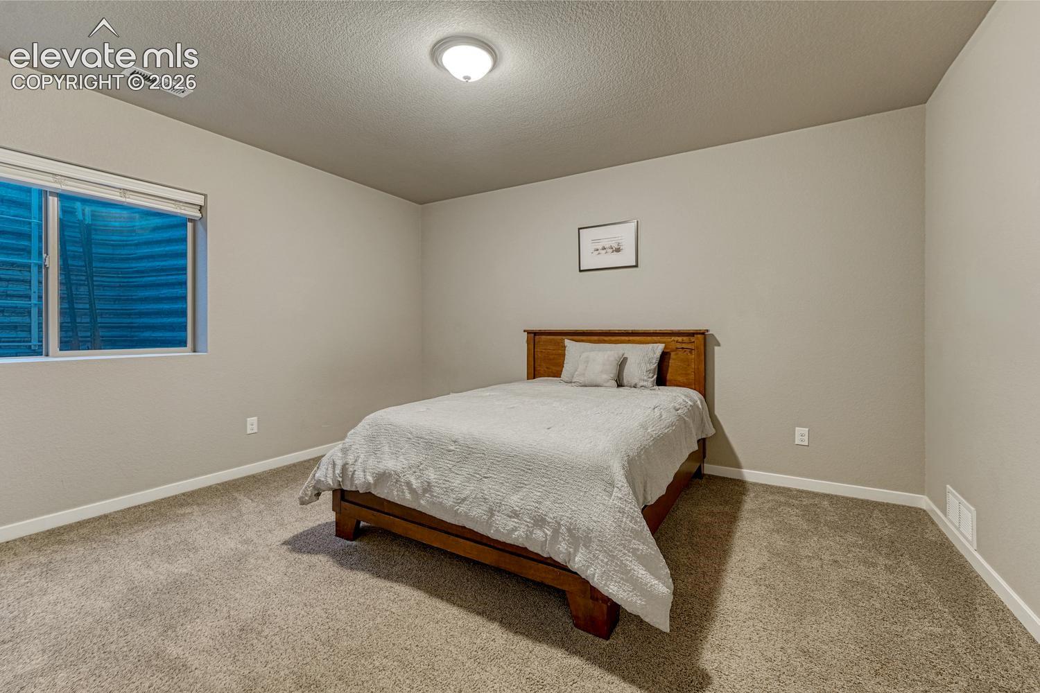 Bedroom 4 in the basement with walk in closet