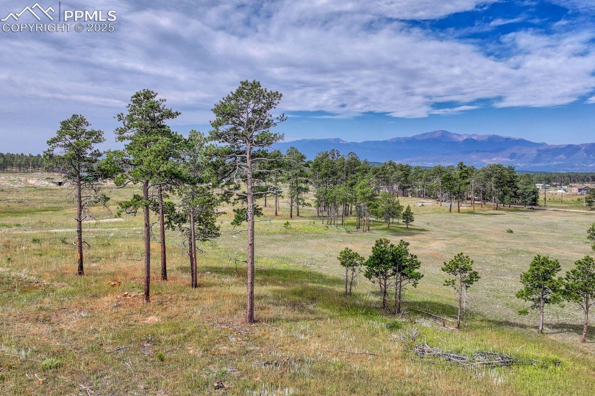 Photo 34 of LOT 4 Forest Heights Circle, Colorado Springs