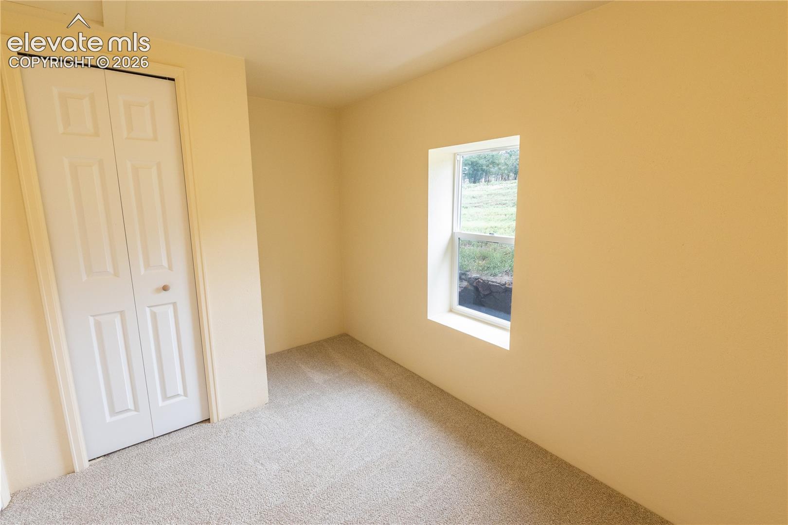 Neutral-toned room featuring wall-to-wall carpeting, a built-in double-door closet, and a single window