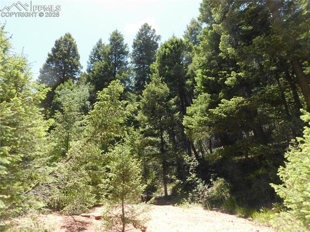 Photo 20 of 13175 Spruce Creek Circle, Larkspur