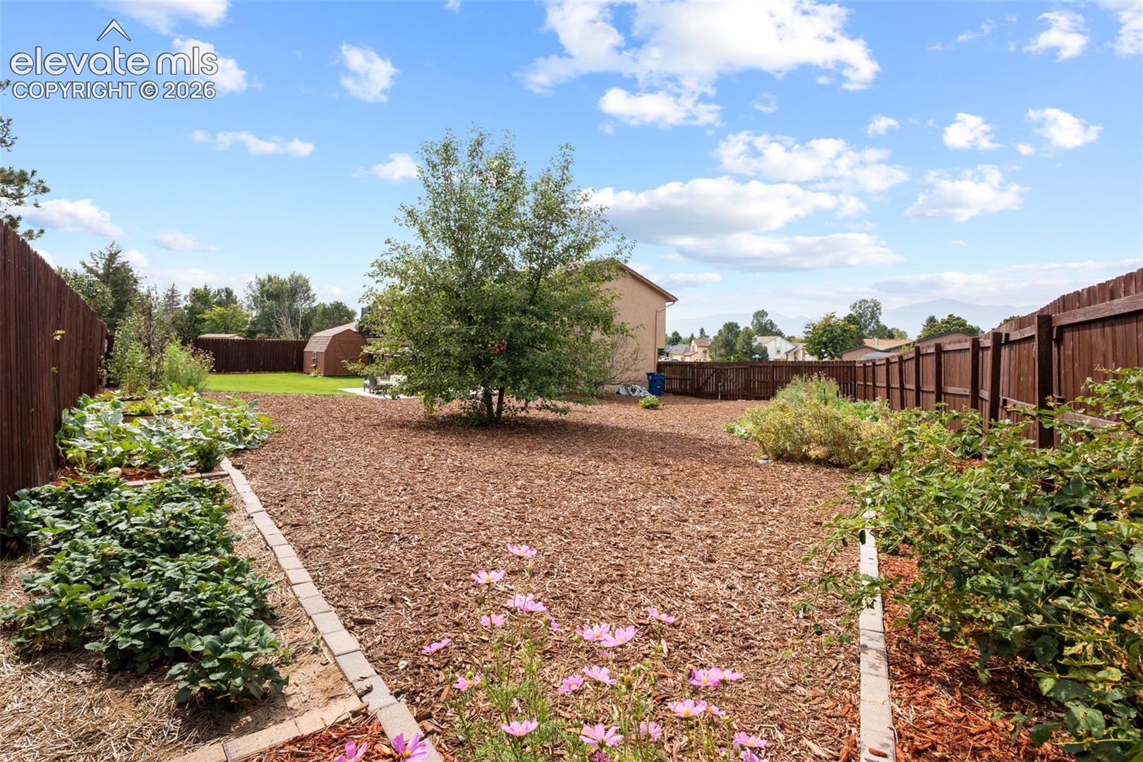 Expansive backyard featuring wood-finish fencing, established landscaping with garden beds, a center tree, and block-lined borders