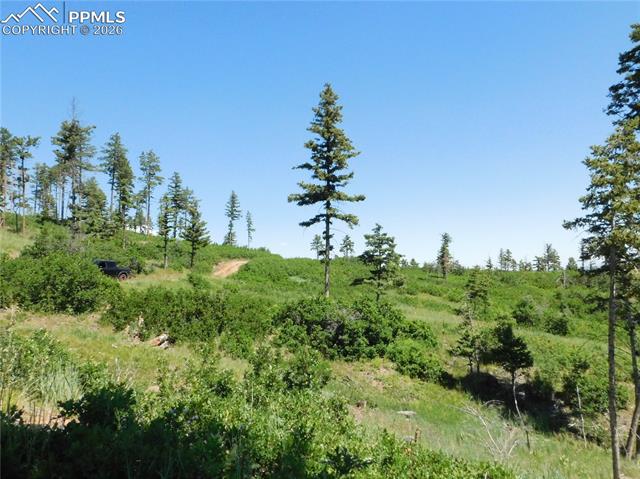 Photo 49 of 8249 Yuma Circle, Larkspur