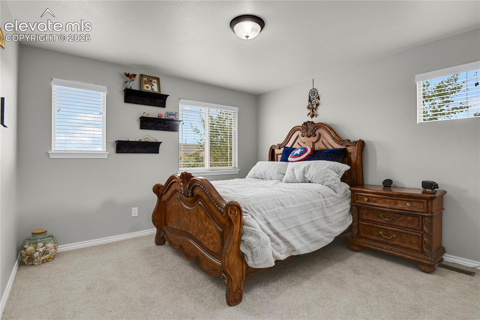 Photo 25 of 7158 Spring Linden Court, Colorado Springs