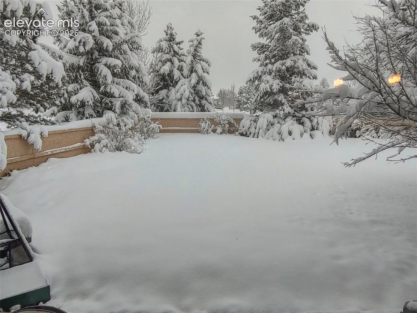 Wintery back yard!