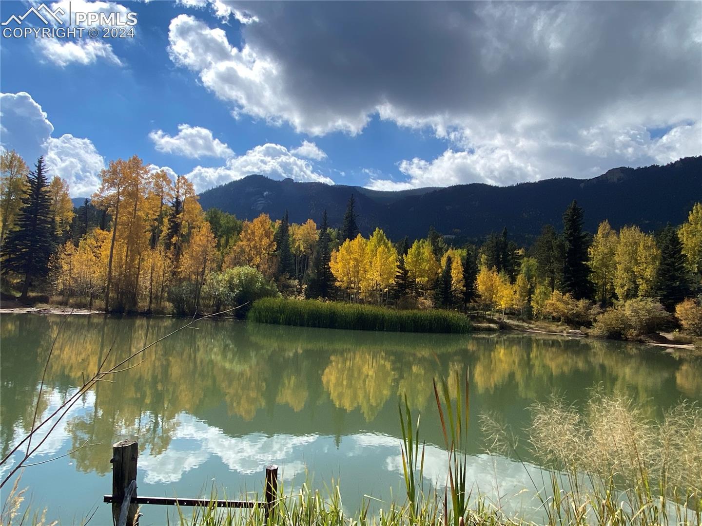 Stocked Trout Pond
