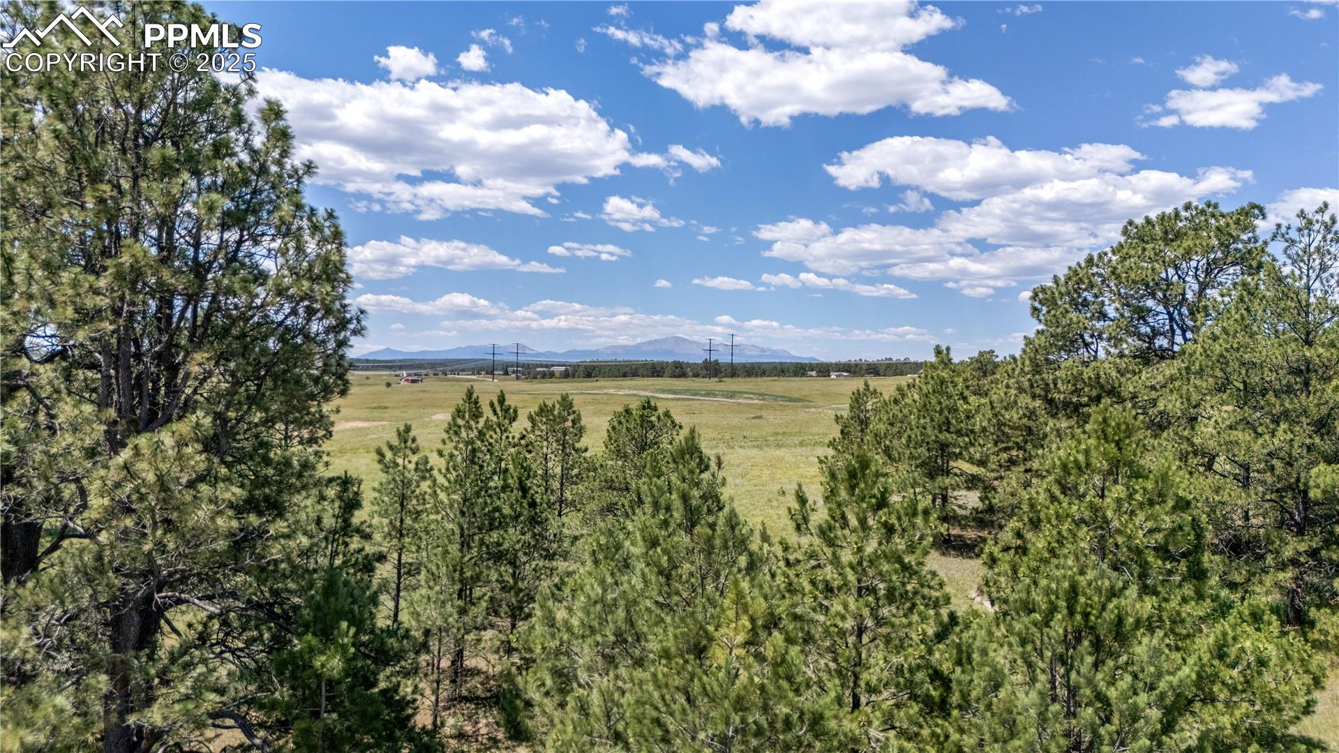 Photo 12 of 10386 Alamar Way, Colorado Springs