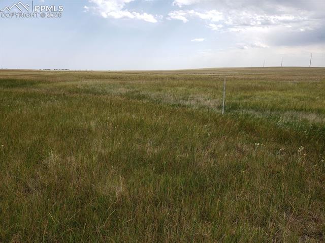 Photo 8 of 8155 Cowboy Ranch View, Falcon