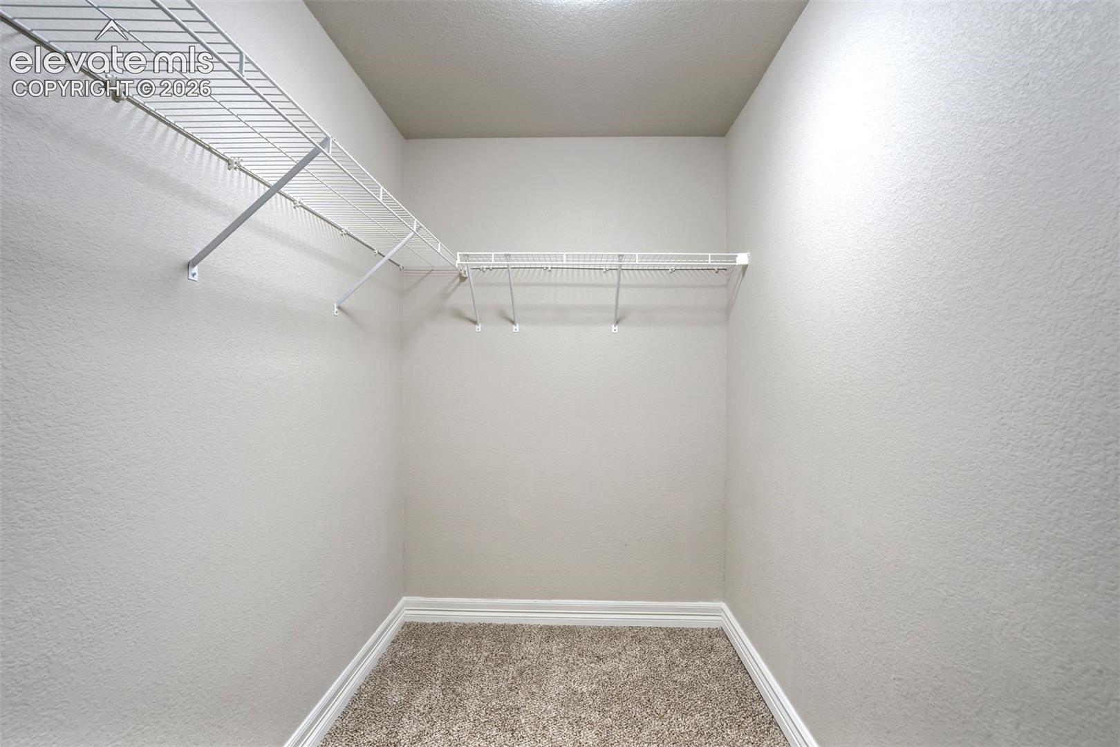 Walk-in closet with wire shelving, light-colored walls, and carpet flooring