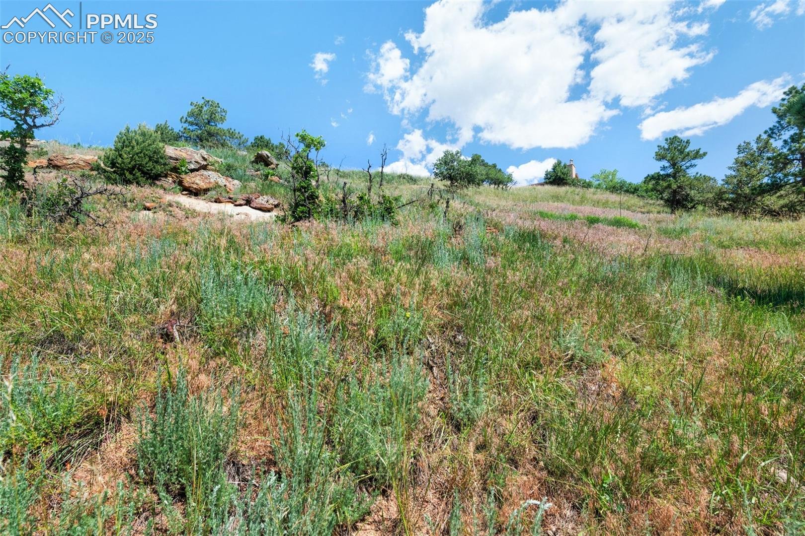 Photo 7 of 7137 Oak Valley Drive, Colorado Springs