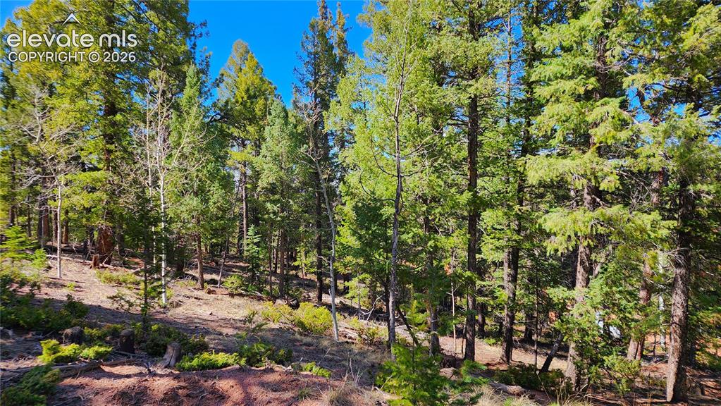 178 Gerka Ln, Florissant, CO 80816