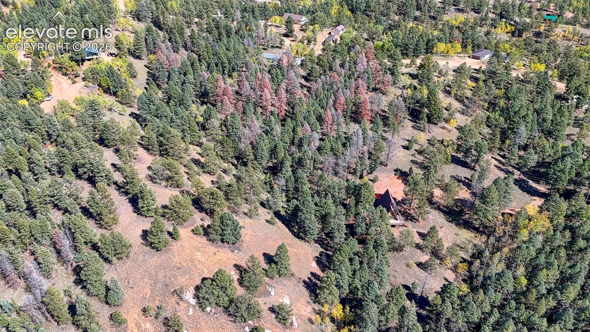 Photo 10 of 136 Gold Crown Circle, Cripple Creek