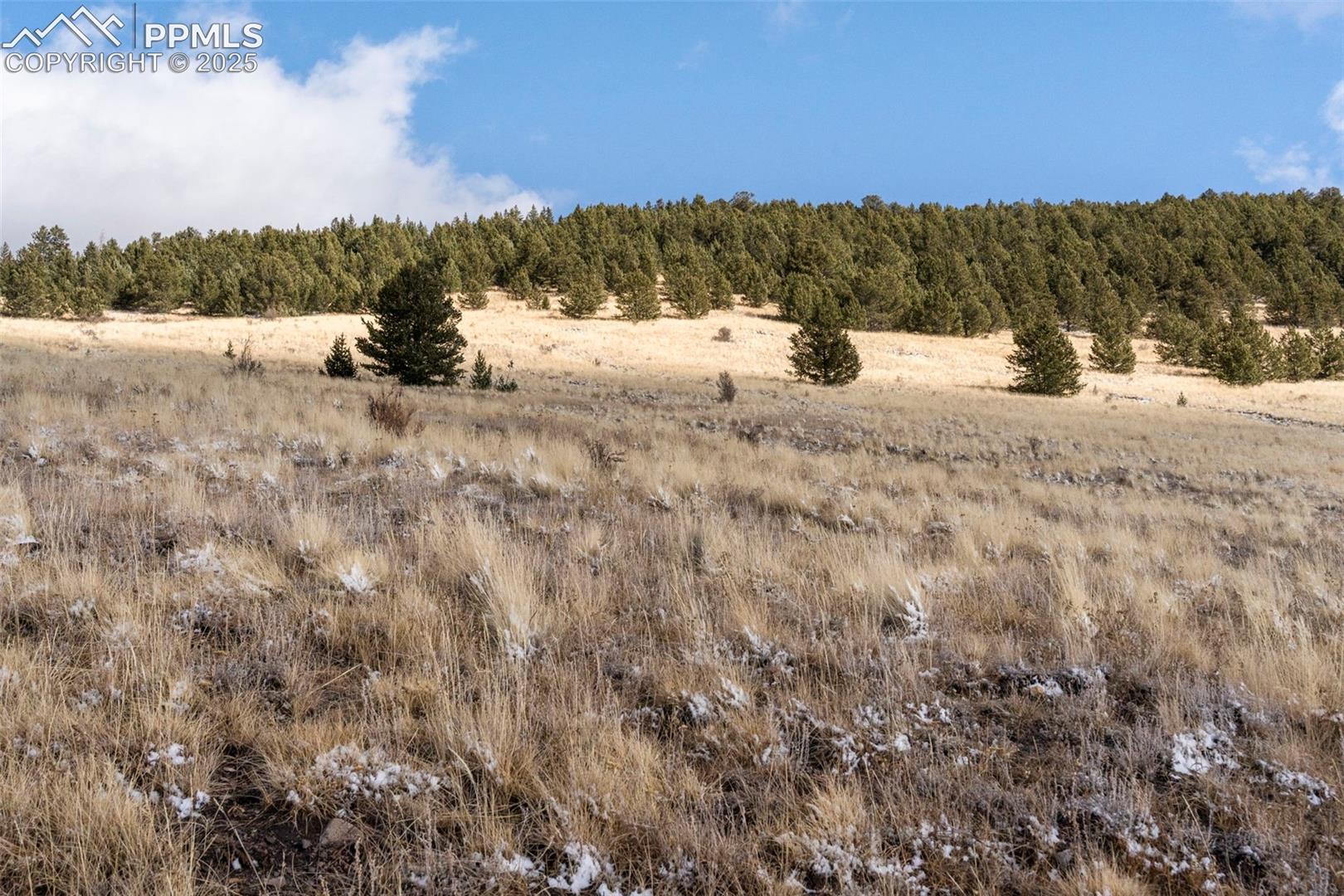 Photo 6 of Private Road, Cripple Creek