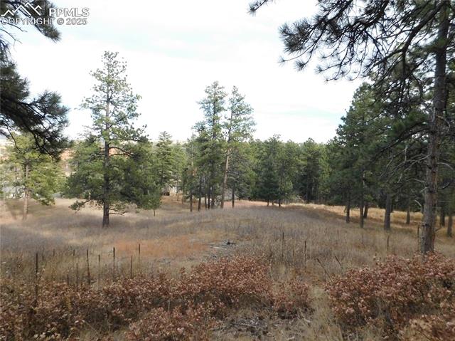 Photo 18 of 8055 Acoma Drive, Larkspur