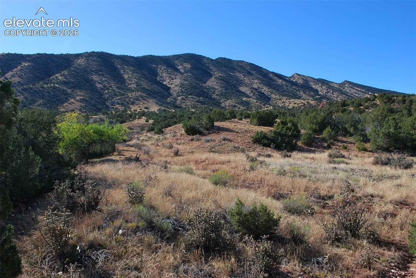 Mountain backdrop, rolling terrain, varied vegetation, clear sky