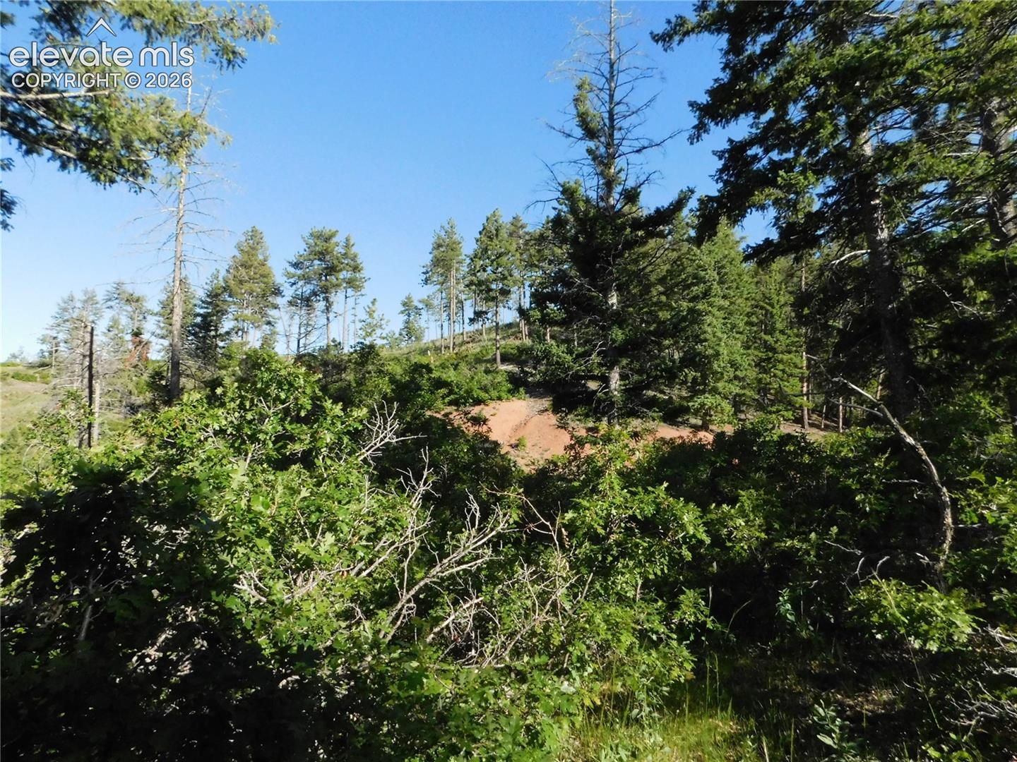 Photo 16 of Lot 11 Cheyenne Drive, Larkspur