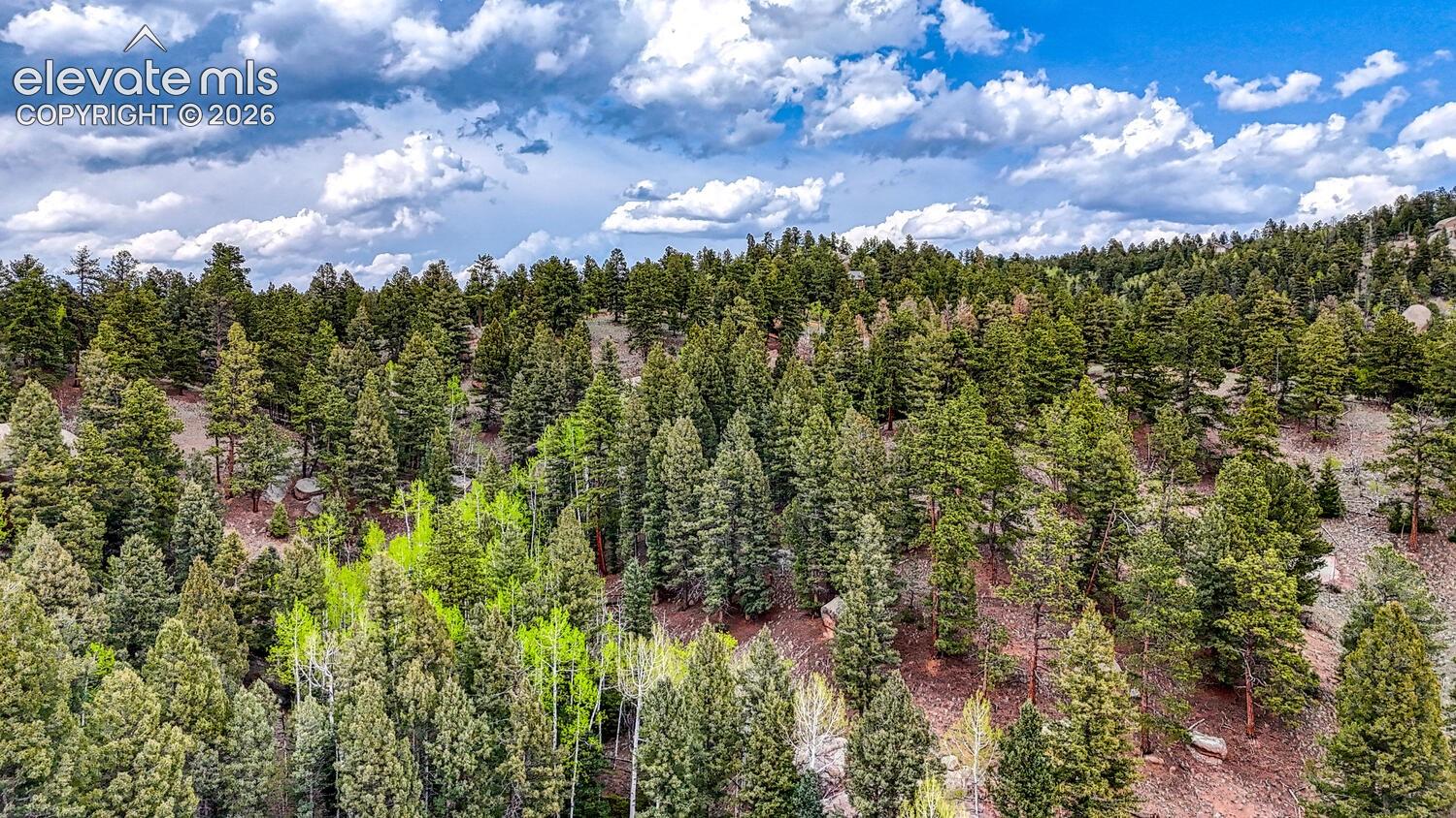 Photo 8 of 918 Pinon Lane, Florissant