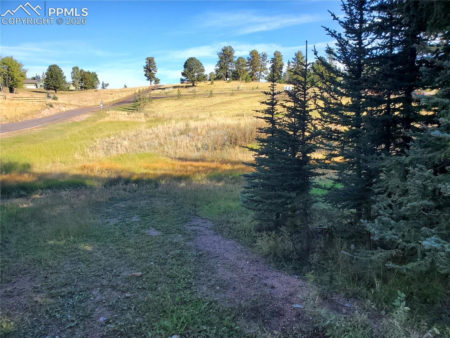 Photo 18 of 309 Pinaceae Heights, Divide