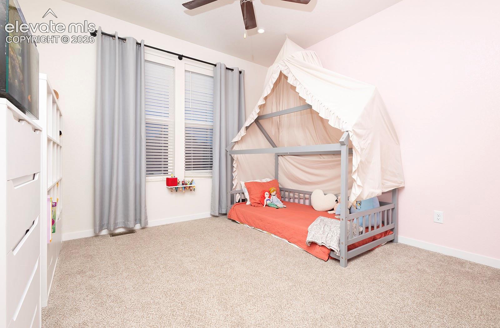 Photo 20 of 9828 Pennycress Drive, Colorado Springs